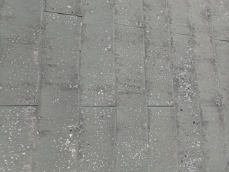 傷んだパミール