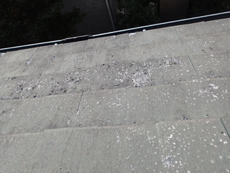 傷みが出たパミール