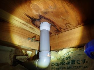 点検高から雨漏りの状態確認