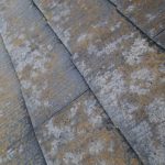 スレート屋根に苔が繁殖