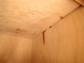 横芝光町屋形で雨漏り発生