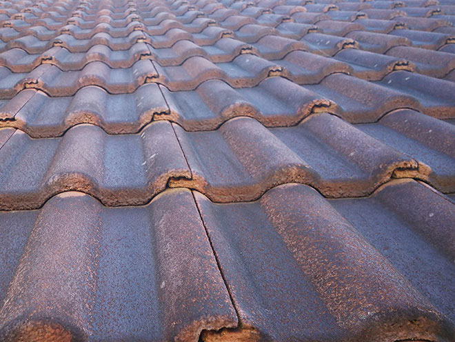 瓦全体の並びをチェック