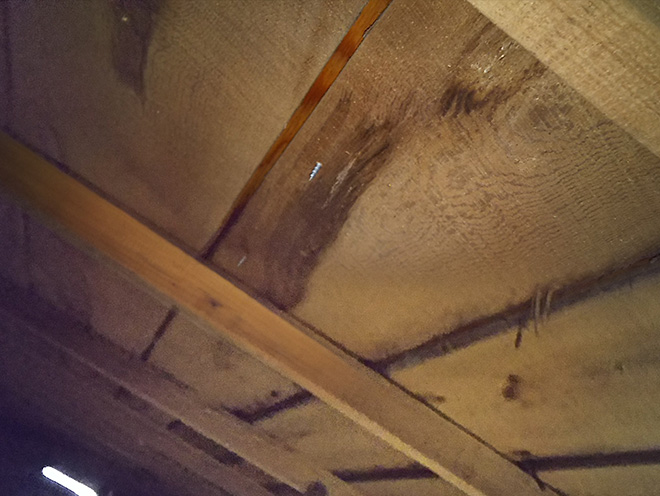 釘穴からの浸水です