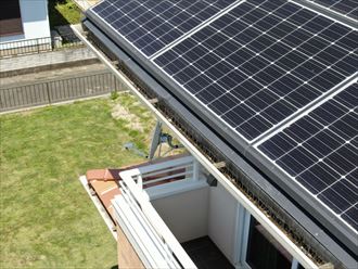 雨樋への防鳥対策