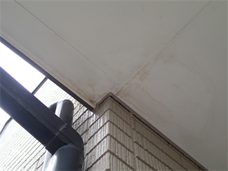 軒天で雨漏り確認