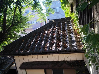 枯葉が堆積した瓦屋根