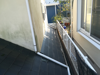 苔が繁殖してしまった外壁