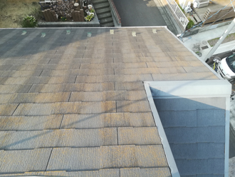 塗膜が傷み苔が繁殖