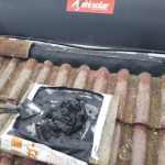 シルガード使用