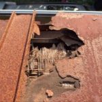 市原市潤井戸　屋根材の腐食