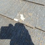 層間剥離したザルフ