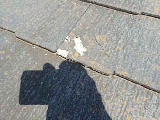 層間剥離したザルフ