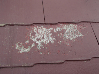 劣化した塗膜を落とす