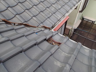 落ち葉が敷き詰められた瓦の外れ部分