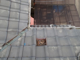 小動物の住処となっている瓦屋根