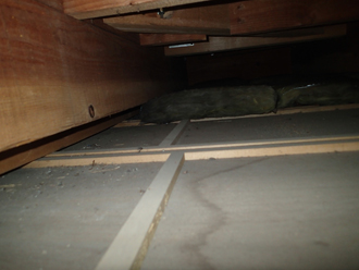 小屋裏にも雨漏り跡