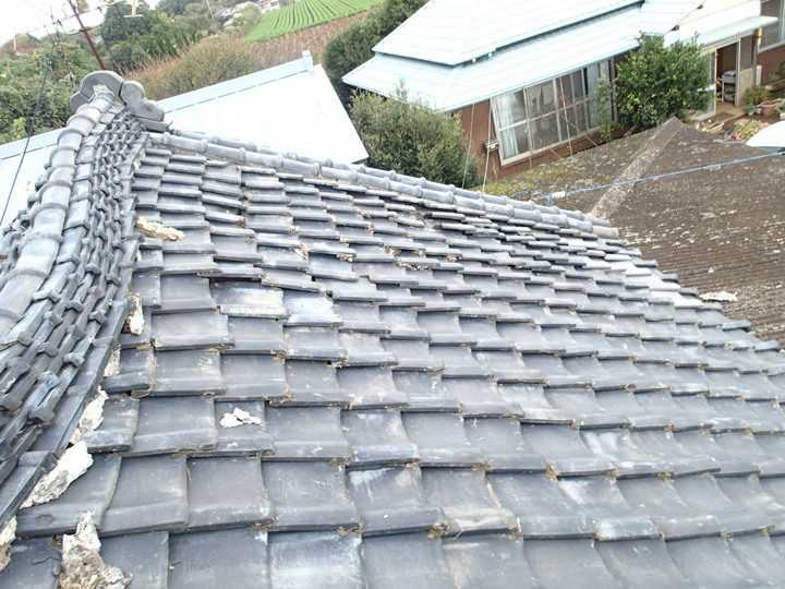 大きく蛇行した棟