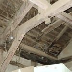 室内への植物の浸入