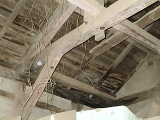 室内への植物の浸入