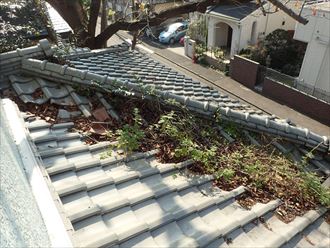 下屋の谷板金へ落ち葉の溜まり