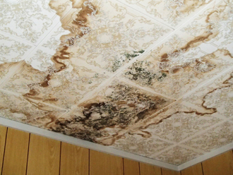 雨漏りした天井