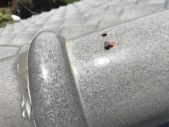 細かい部分も撮影可能