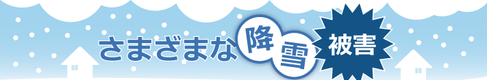 様々な降雪被害