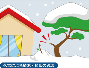 植木や植栽に雪が積もると雪の重みで枝が折れてしまったり、もがれてしまう