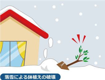 落雪によって鉢植え鉢ごと破壊されてしまった