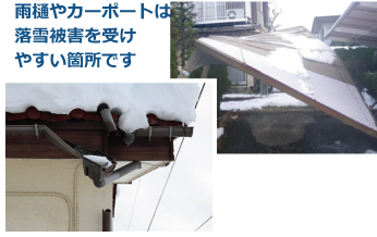 雨樋やカーポートは雪の影響を受けやすい部分です