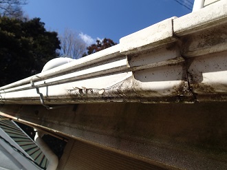 雨樋の割れ確認