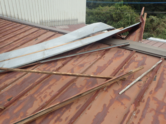 よく飛ばなかった