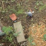 お庭に落ちていたのは瓦の欠片だけ