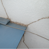 外壁やベランダなども徹底的に調査