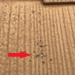 塗膜のひび割れ