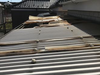 足立区保木間で台風被害調査