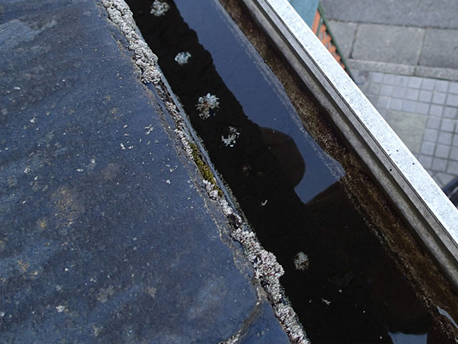 水の貯まる雨樋