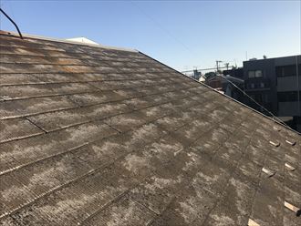 スレート屋根点検