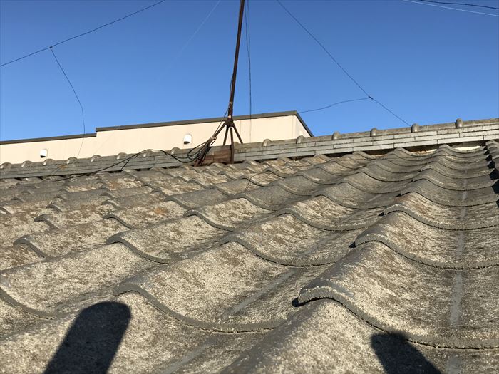 アンテナ被害もなし