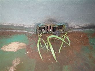 排水溝の土・泥の詰まり