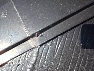 棟板金の釘の外れ