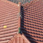 ドローンでの調査