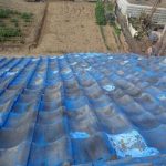 セメント瓦の劣化