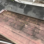 下屋の経年劣化