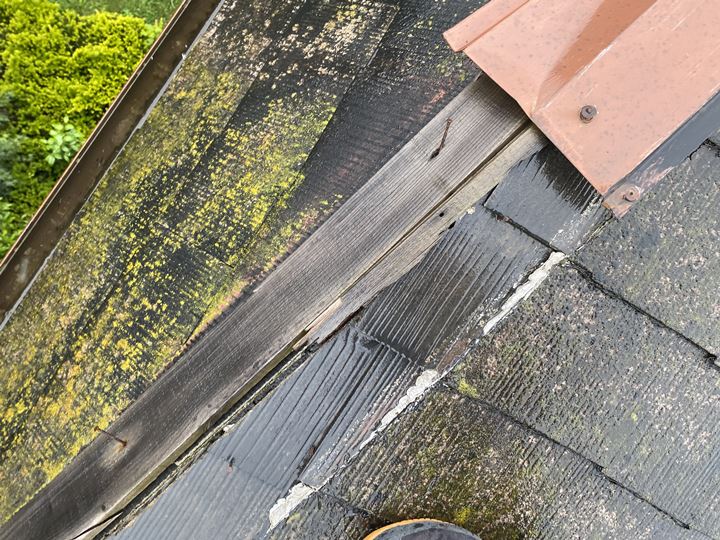 劣化した棟下地