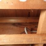 木更津市　天井裏の状況