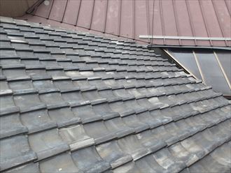 風災被害等は無し