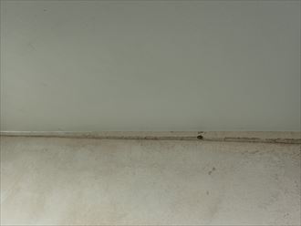 市原市　際へのコーキング打ち