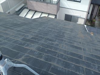 大屋根に異常はなし