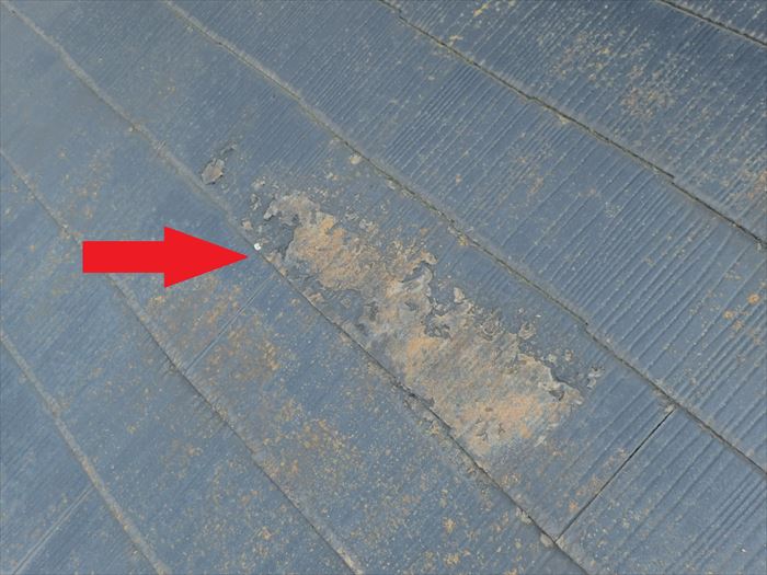 苔と塗膜の盛り上がった部分